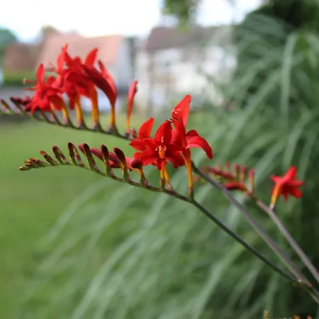 Le Clos Du Mont Cesar